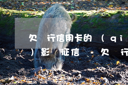 欠銀行信用卡的錢(qián)會(huì)影響征信嗎-欠銀行信用卡的錢(qián)會(huì)影響征信嗎知乎