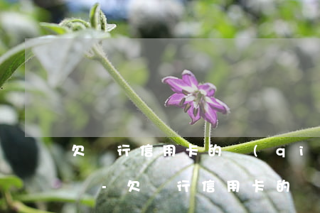 欠銀行信用卡的錢(qián)還不上了怎辦-欠銀行信用卡的錢(qián)還不起怎么辦