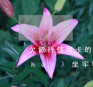 欠銀行信用卡的錢(qián)還不上會(huì)坐牢嗎有案例嗎-欠銀行信用卡的錢(qián)還不起怎么辦會(huì)坐牢嗎