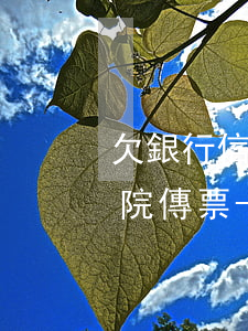 欠銀行信用卡的錢多久會(huì)受到法院傳票-欠銀行信用卡的錢多久會(huì)受到法院傳票通知