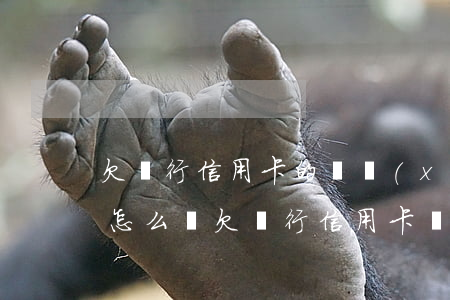 欠銀行信用卡的錢現(xiàn)在還不起怎么辦(欠銀行信用卡還不上怎么辦?后果是什么)