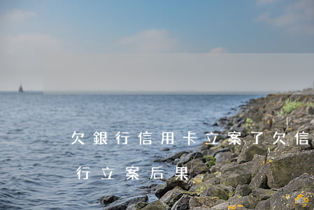 欠銀行信用卡立案了(欠信用卡執(zhí)行立案后果)