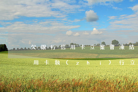 欠銀行信用卡立案會凍結(jié)嗎(欠信用卡執(zhí)行立案后果)