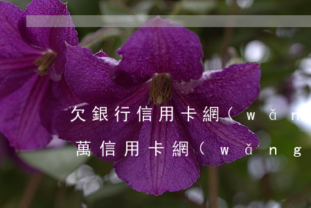 欠銀行信用卡網(wǎng)貸支付寶80萬(信用卡,網(wǎng)貸,支付寶欠100萬還不起了怎么辦)