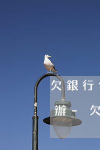 欠銀行信用卡被法院凍結(jié)了怎么辦-欠銀行信用卡被法院凍結(jié)了怎么辦呢