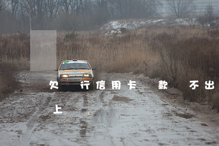 欠銀行信用卡貸款還不出(欠信用卡貸款還不上)