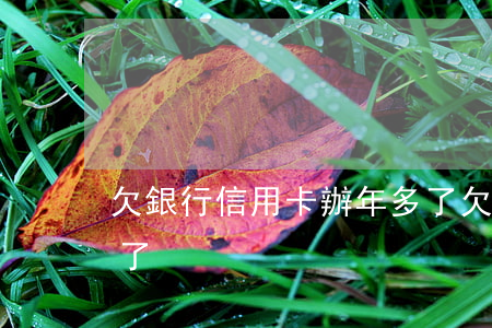 欠銀行信用卡辦年多了(欠銀行信用卡辦年多了)