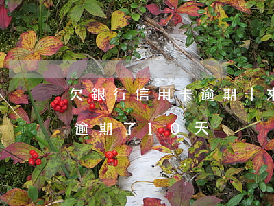 欠銀行信用卡逾期十來(lái)天(信用卡逾期了10天)