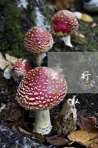 欠銀行信用卡逾期多久會被起訴（信用卡逾期從取證到起訴需要多久）