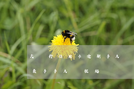 欠銀行信用卡逾期多久會被起訴（信用卡逾期最多多久會被起訴）