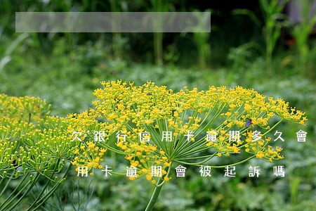 欠銀行信用卡逾期多久會被起訴（多個銀行信用卡逾期會被起訴嗎）