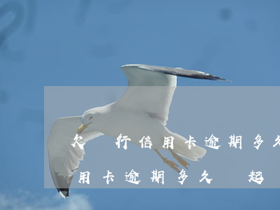 欠銀行信用卡逾期多久會被起訴（威海銀行信用卡逾期多久會起訴）