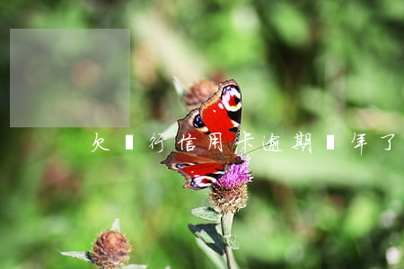 欠銀行信用卡逾期幾年了（欠銀行信用卡逾期）