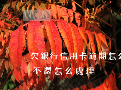 欠銀行信用卡逾期怎么處理（對于信用卡逾期不還怎么處理）