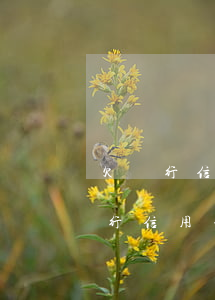 欠銀行信用卡逾期會(huì)怎么解(欠銀行信用卡逾期怎么處理)