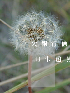 欠銀行信用卡逾期還不起怎么辦-欠銀行信用卡逾期還不起怎么辦呢