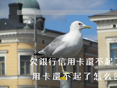 欠銀行信用卡還不起了怎么回事-欠銀行信用卡還不起了怎么回事兒