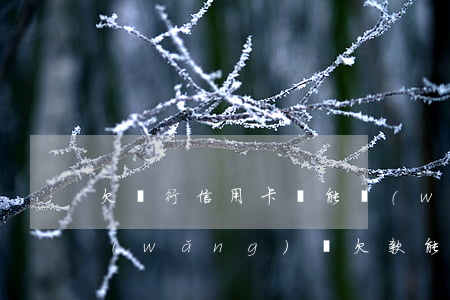欠銀行信用卡還能網(wǎng)貸嗎(有網(wǎng)貸欠款能辦信用卡嗎)