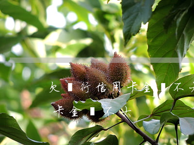 欠銀行信用卡金額不大怎么處理（欠銀行信用卡金額不大）