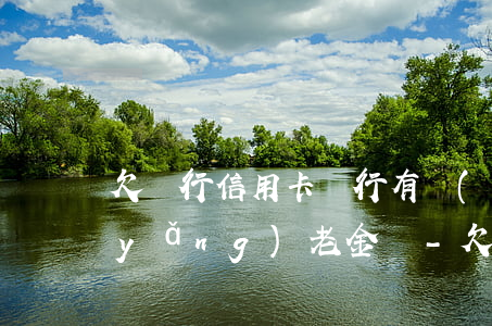欠銀行信用卡銀行有權(quán)扣養(yǎng)老金嗎-欠銀行信用卡銀行有權(quán)扣養(yǎng)老金嗎安全嗎