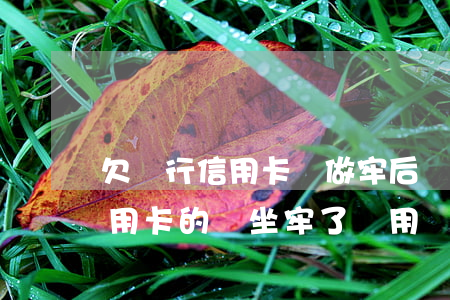 欠銀行信用卡錢做牢后還要還嗎-欠銀行信用卡的錢坐牢了還用還嗎?