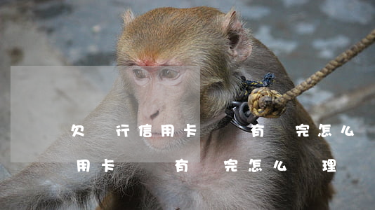欠銀行信用卡錢沒有還完怎么辦-欠銀行信用卡錢沒有還完怎么辦理