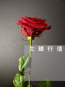 欠銀行信用卡錢立案(欠銀行信用卡錢立案)