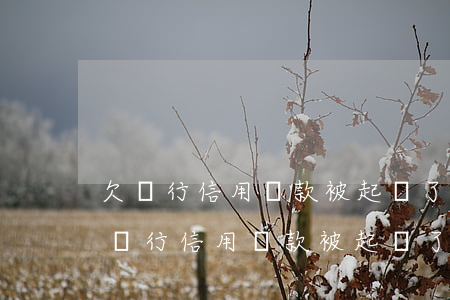 欠銀行信用貸款被起訴了還不上怎么辦-欠銀行信用貸款被起訴了還不上怎么辦呢
