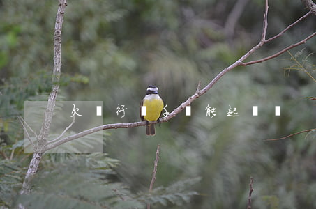 欠銀行兩千塊能起訴嗎