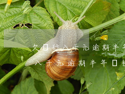 欠銀行八千元逾期半年會被起訴嘛-欠銀行八千元逾期半年會被起訴嘛知乎