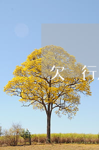 欠銀行八千萬(wàn)元