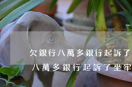 欠銀行八萬多銀行起訴了坐牢多久-欠銀行八萬多銀行起訴了坐牢多久會(huì)判刑