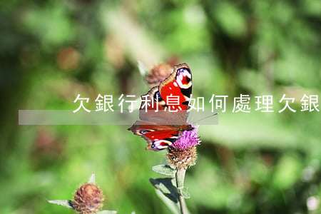 欠銀行利息如何處理(欠銀行利息怎么辦)