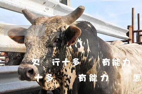 欠銀行十多萬沒有能力償還怎么辦-欠銀行十多萬沒有能力償還怎么辦呢