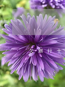 欠銀行十幾萬怎么還(欠銀行十幾萬怎么還款)