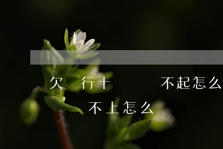 欠銀行十幾萬還不起怎么辦(我欠了銀行十幾萬還不上怎么辦?)