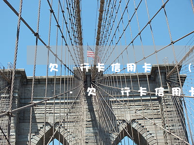 欠銀行卡信用卡暫時(shí)還不上怎么辦-欠銀行卡信用卡暫時(shí)還不上怎么辦呢