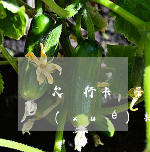 欠銀行卡錢子女不許上重點(diǎn)學(xué)校嗎-欠銀行錢孩子能上大學(xué)嗎