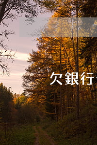 欠銀行卡錢（欠銀行卡幾萬怎么處理）