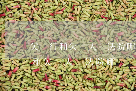 欠銀行和欠個人錢法院哪個優先還-欠銀行和欠個人錢法院哪個優先還款