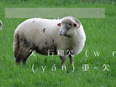 欠銀行和欠網(wǎng)貸不還后果誰嚴(yán)重-欠銀行和欠網(wǎng)貸不還后果誰嚴(yán)重呢