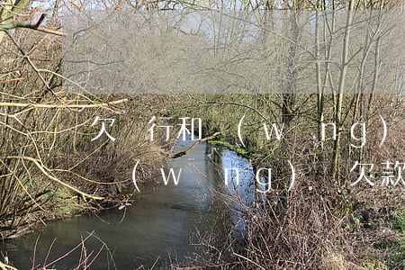 欠銀行和網(wǎng)貸10多萬怎么辦(網(wǎng)貸欠款10萬怎么辦)