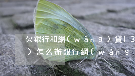 欠銀行和網(wǎng)貸13萬(wàn)怎么辦(銀行網(wǎng)貸欠款幾十萬(wàn)該怎么辦)