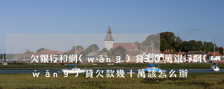 欠銀行和網(wǎng)貸30萬(銀行網(wǎng)貸欠款幾十萬該怎么辦)