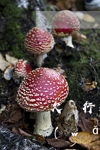 欠銀行和網(wǎng)貸45萬怎么辦(網(wǎng)貸欠了50萬)