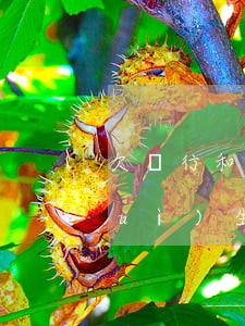 欠銀行和網(wǎng)貸后沒錢還會(huì)坐牢嗎(欠了網(wǎng)貸會(huì)不會(huì)坐牢)