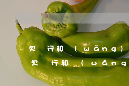 欠銀行和網(wǎng)貸巨額該怎么處理(欠銀行和網(wǎng)貸巨額該怎么處理)