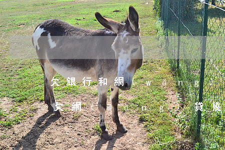 欠銀行和網(wǎng)貸幾十萬會坐牢嗎(欠網(wǎng)貸幾千會坐牢嗎)