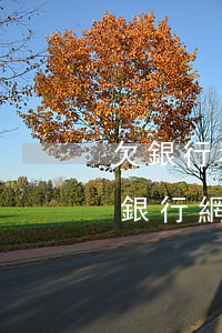 欠銀行和網(wǎng)貸幾十萬要坐牢嗎(銀行網(wǎng)貸欠款幾十萬該怎么辦)