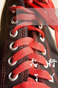 欠銀行和網(wǎng)貸死了還要還嗎(欠了網(wǎng)貸人死了要還嗎)